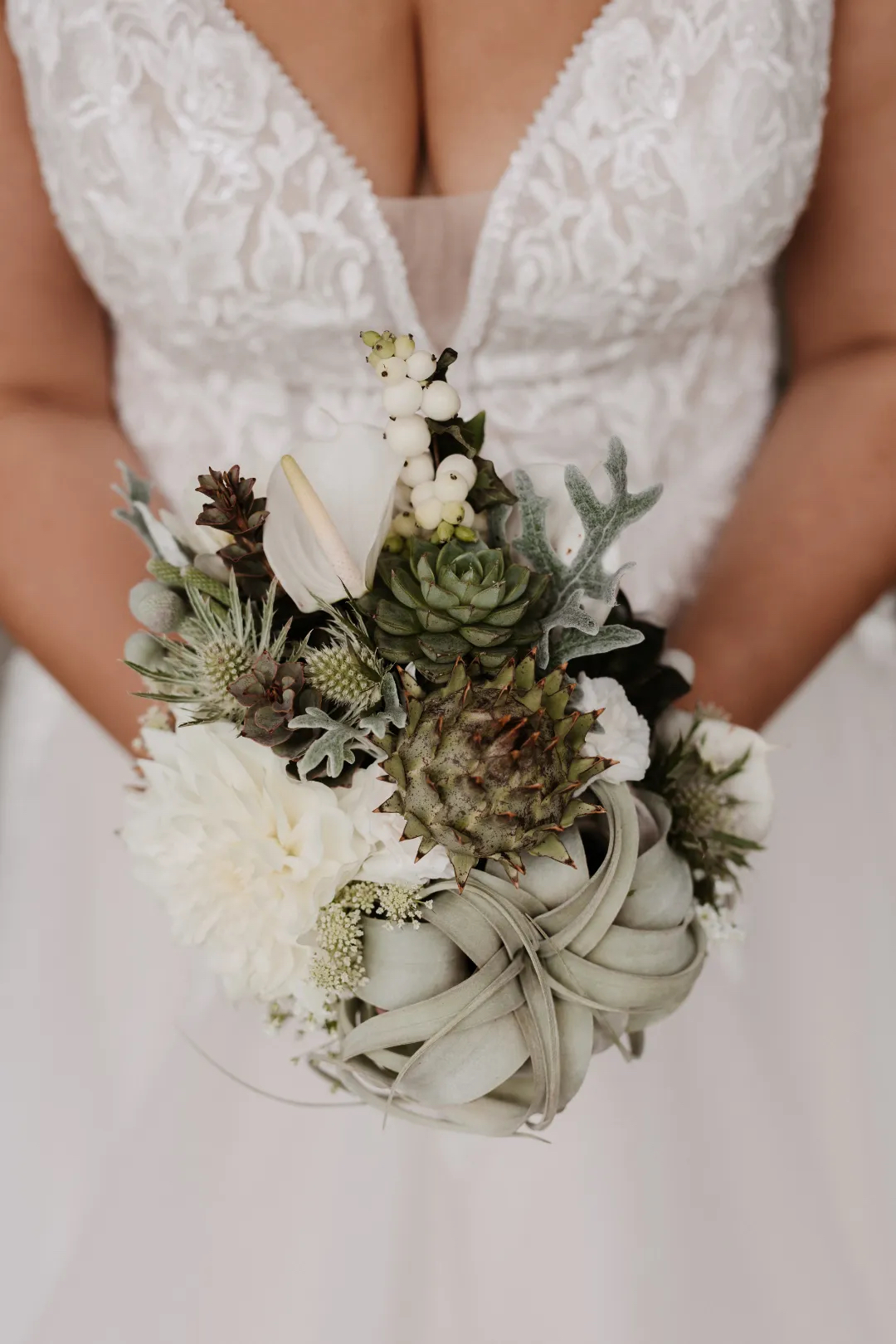 Steve Photography – JPEG Bild 164